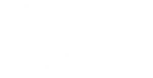 ACE Cortex